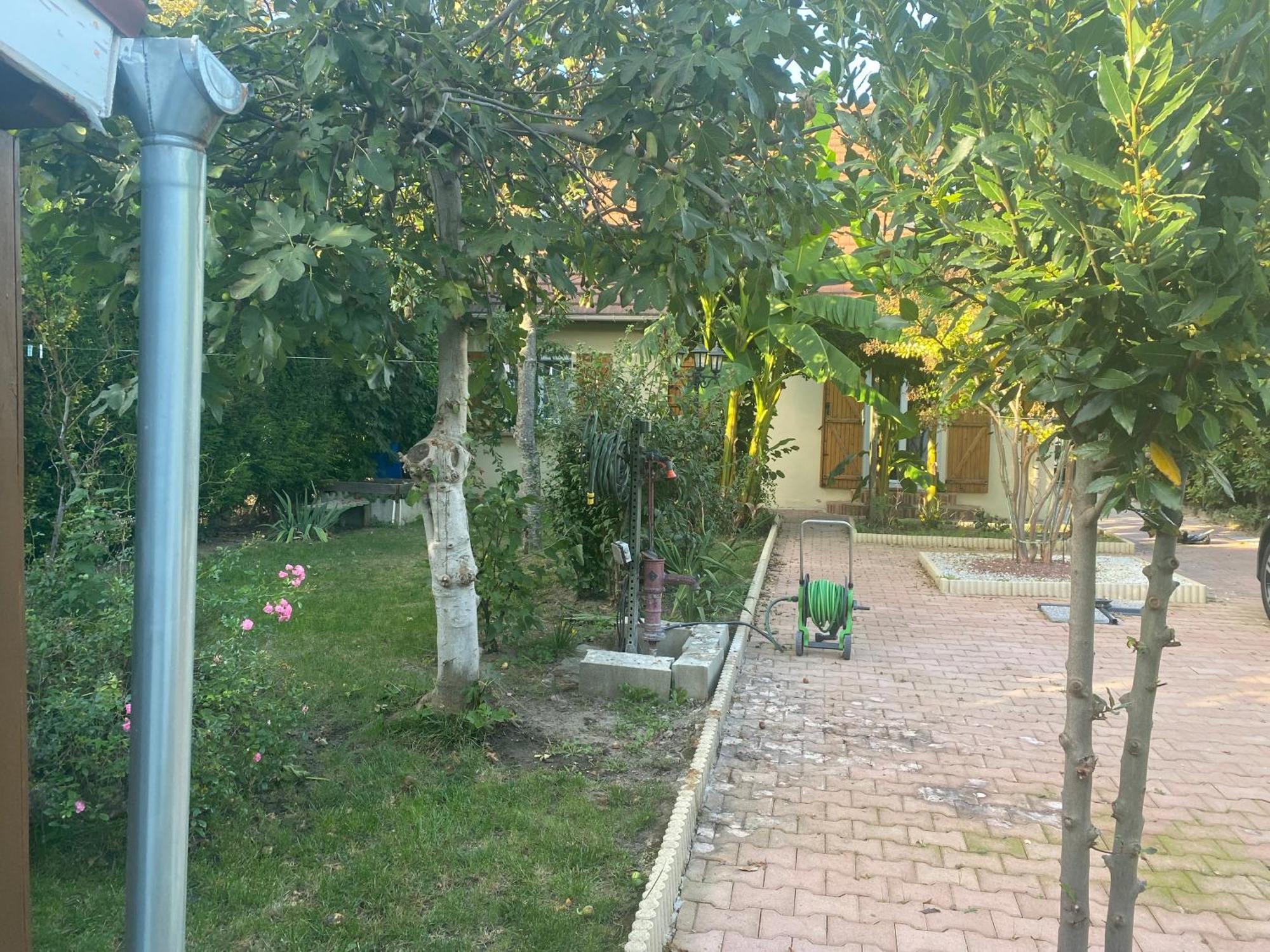 Soleil Appartement
